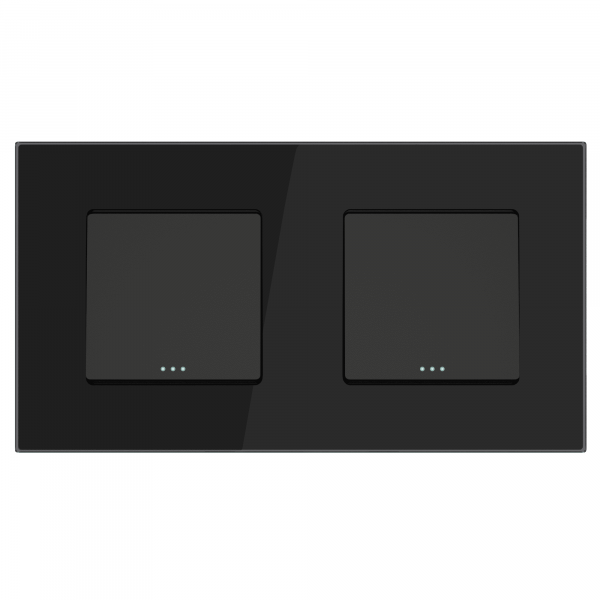 Wechselschalter/Serien-Wechselschalter 2-Fach Glas